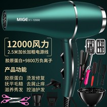 강아지 에어탱크 애견 드라이룸 대형 펫 드라이자켓 블로어 드라이기 거치대 중형견 반려견 대형견 에어샤워 건조기 목욕 고양이 스탠드 199 가, Emerald Green Imported 1200