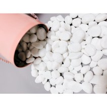 리투나 백자갈 흰색돌 3kg 화분돌 야외 정원 마당 인테리어 수족관 어항 화분 돌맹이 베란다 화단 데코 원예용 조경 하얀자갈 소포장, 1~2cm전후, 1개