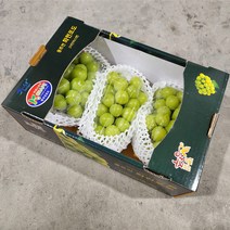 오늘의경매 고당도 샤인머스켓 망고포도 프리미엄제품, 품질보장 2kg 특 선물용 (2-3수)