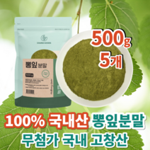 100% 국내산 고창산 무첨가 뽕잎 뽕나무잎 가루 분말 500g, 국산 뽕잎가루 500g x 5개