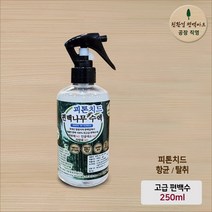친환경편백아트 고급 피톤치드 편백수액 향균 탈취제 방향제 새집증후군 제거, 250ml