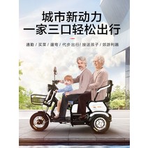 노약자용 초경량 접이식 세발 3륜 전기스쿠터 장애인, 600W 모터  48V13AH 블랙골드 48V
