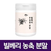 빌베리 농축 추출 아이 빌베리 가루 분말 파우더 80g