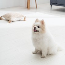 포포 강아지 미끄럼방지 롤 애견매트 거실 복도 논슬립, 소프트우드 14mm