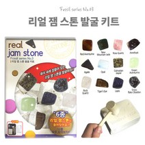 6000 리얼 잼스톤 발굴 키트 과학 실험 과학 학습