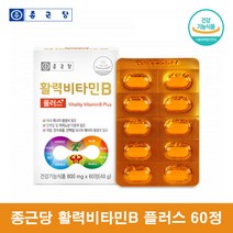 비타민B군 영양제 비타민B100 비타민비군 종근당 활력 비타민B 콤플렉스 복합제 수용성비타민 비오틴 - 왱이몰, 60정 1통