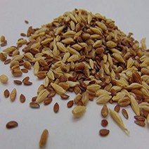 4 oz Sprouting PET Mix - A Tasteful Mix of Wheatgrass Flax and Barley Seeds. Seeds for Growing Micr, 1
