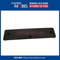 현대모비스 몰딩프론트 범퍼 라이선스 플레이트 (86519G8100), 1개