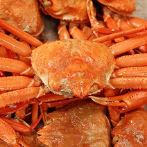 포항홍게대게자숙박달대게제철홍게라면대게찜, 실속 홍게 3kg