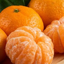 영화농산 특급 감귤 9kg 카라향 블로초 귤로장생 제주, 상세페이지 참조