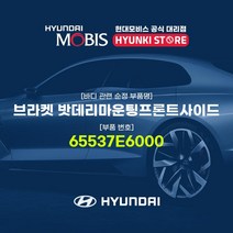 현대모비스 브라켓 밧데리마운팅프론트사이드 (65537E6000), 1개