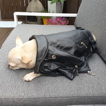 강아지 라이더자켓 가죽점퍼, 블랙