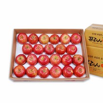 [프레샤인] [GAP인증/산지직송]NH 충주 못난이사과 5Kg (랜덤과), 1개