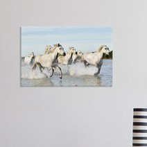데코밍샵아크릴액자_성공의상징말그림2_아크릴액자, 4.두마리