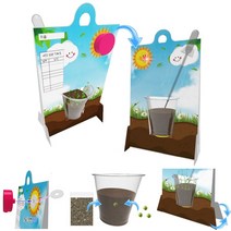 식물 생장 관찰 조건 화분 액자 (LED형) 스위치 완두콩 씨앗 성장 속도 일지 기록 실습