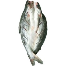 반제품 버들치 도매용 풀박스 통마리 무접점 등을 돌리는 물고기 대발 전선형, 1개, T20-1g 능성어 메콩고기-8 조목조목