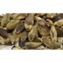 신이화 목련꽃봉우리 국내산 건조목련꽃 100g, 신이화100g, 1개