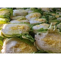 오늘애푸드 김장시즌 국내산 강원도 / 해남 절임배추20kg, 11월1일(수)도착