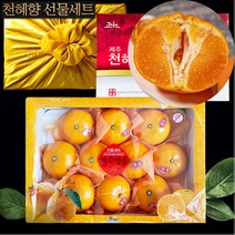 제주 서귀포 고당도 천혜향 천리향 2.5kg 4.5kg 제철 선물세트 산지직송, 천혜향 4.5kg 고급 선물용 10-18과