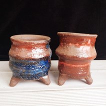 서평택다육 2종세트 2399