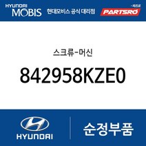 스크류-머신 (842958KZE0) 뉴 슈퍼 에어로 시티 슈퍼 에어로 시티 특장 카운티 글로벌900/그린시티