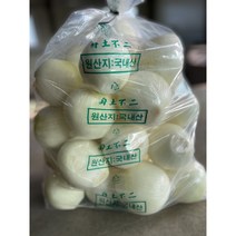 2023년 햇깐양파 5kg 10kg (무료배송), 1개