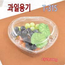 과일용기 체리 산딸기500g 견과류 복분자 오미자 방울토마토 일회용과일용기 딸기 T-315 400개, 1박스