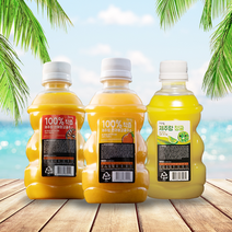 제주랑 100% 착즙주스 320ml x 20개 한라봉 천혜향 청귤 감귤주스, 천혜향 20개