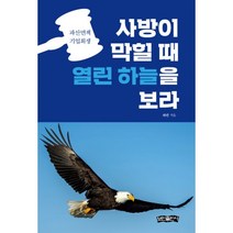사방이 막힐 때 열린 하늘을 보라 : 파산면책 기업회생, 보민출판사, 하민 (지은이)