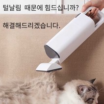 애완동물 털날림 진공청소기 진드기 제거 및 살균, 화이트