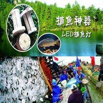 LED 낚시 수중 집어등 오징어 해루질 갈치 써치라이트, 단일사이즈, 12W 낚시등