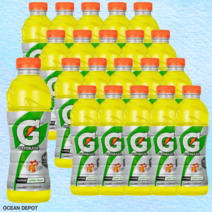 게토레이 레몬 600ml x 20페트 1박스 스포츠음료 이온음료