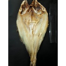 (D클라쓰) 마른총각 보양식 건대구 염대구 말린염장대구 45 - 60cm 내외 1마리, 염장대구 (특) 55cm 내외