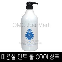 라샘 크리스챤 댄디 쿨 샴푸 1000ml /(소량구매구성) 멘톨 시원함 쿨샴푸 정품, 1개