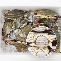 푸름농수산 연평도 통통 배 빵빵 알배기 급냉동 암꽃게, 2kg(6-10미)