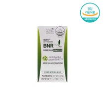 뉴트리사나 모유유산균 가루 분말 락토바실러스 비엔알 bmr17 비엔나17 비에날씬프로 키즈징크락토 아연 프로바이오틱스 [3종택일], BNR17 비에날씬프로 1개월