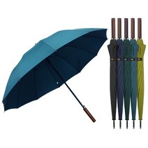 브랜드없음 카르페디엠 데일리 12K 자동장우산