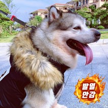 마켓무디 강아지 겨울용 보온후드패딩 S~6XL 소형견 중형견 대형견 초대형견 맞춤 사이즈 애견의류 패딩조끼 겨울 옷 도베르만 푸들 허스키 포메라니안 리트리버, 4XL