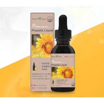 팜그린 프리미엄 프로폴리스 구내염 항산화 항균 면역력증진, 5개, 30ml