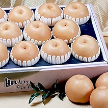 [선물용 추천] [우수농산물인증] 명품 나주배 15KG (18~20과)