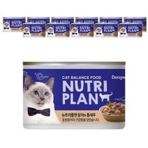 동원 뉴트리플랜 고양이 간식 참치 160g, 참치 + 통새우 혼합맛, 12개