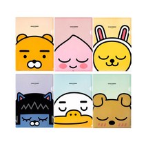 카카오프렌즈 L홀더 L자화일 화일 파일 홀더, 어피치