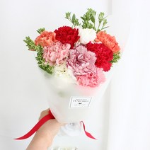 플라로마 고급 카네이션 생화꽃다발(화병포함) 어버이날선물 예약배송 당일발송가능