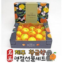 제주 황금향 산지직송 꿀당도 프리미엄 명절선물세트 1.6kg 2.6kg, 중과 1.6kg(6-9과)