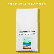 에센티아팩토리 당일로스팅 블랜드 고소한 마일드 원두 커피 강배전 홀빈 1kg coffee blend, 올인원, 에스프레소