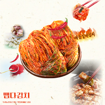 대전선화동 실비김치 명촌가 매운김치, 2kg, 1개