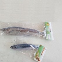 고양이 장난감 꽁치(20cm), 4개