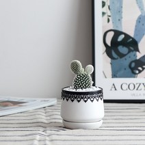 백도선 선인장 세라믹화분 SET_2types, 01-블랙레이스 세라믹화분