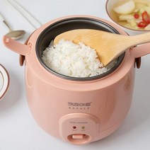 1인 가구 미니 전기 밥솥