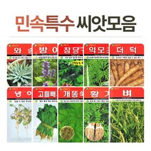 화분월드 민속 희귀 씨앗, 자소, 1개